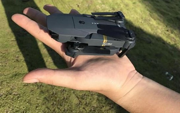 man holding blackbird 4k 2